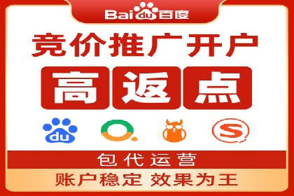 某行业sem代运营推广公司成功案例分析